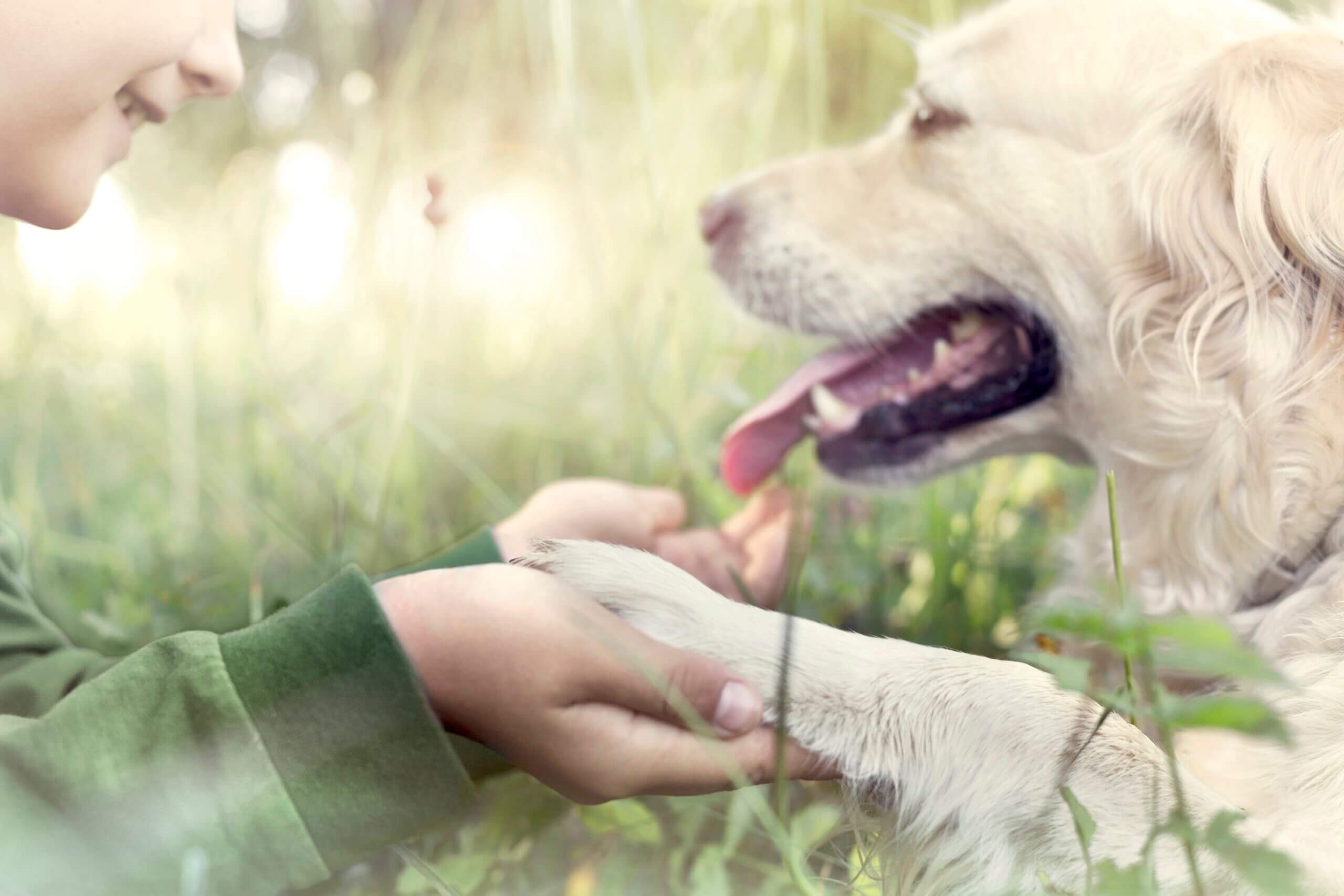 Un enfant avec un chien.