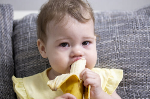 ¿Qué frutas puede comer un bebé de 6 meses?