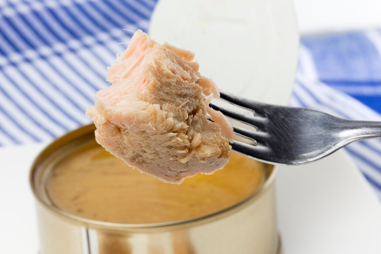 Hermetisk tunfisk på gaffel.