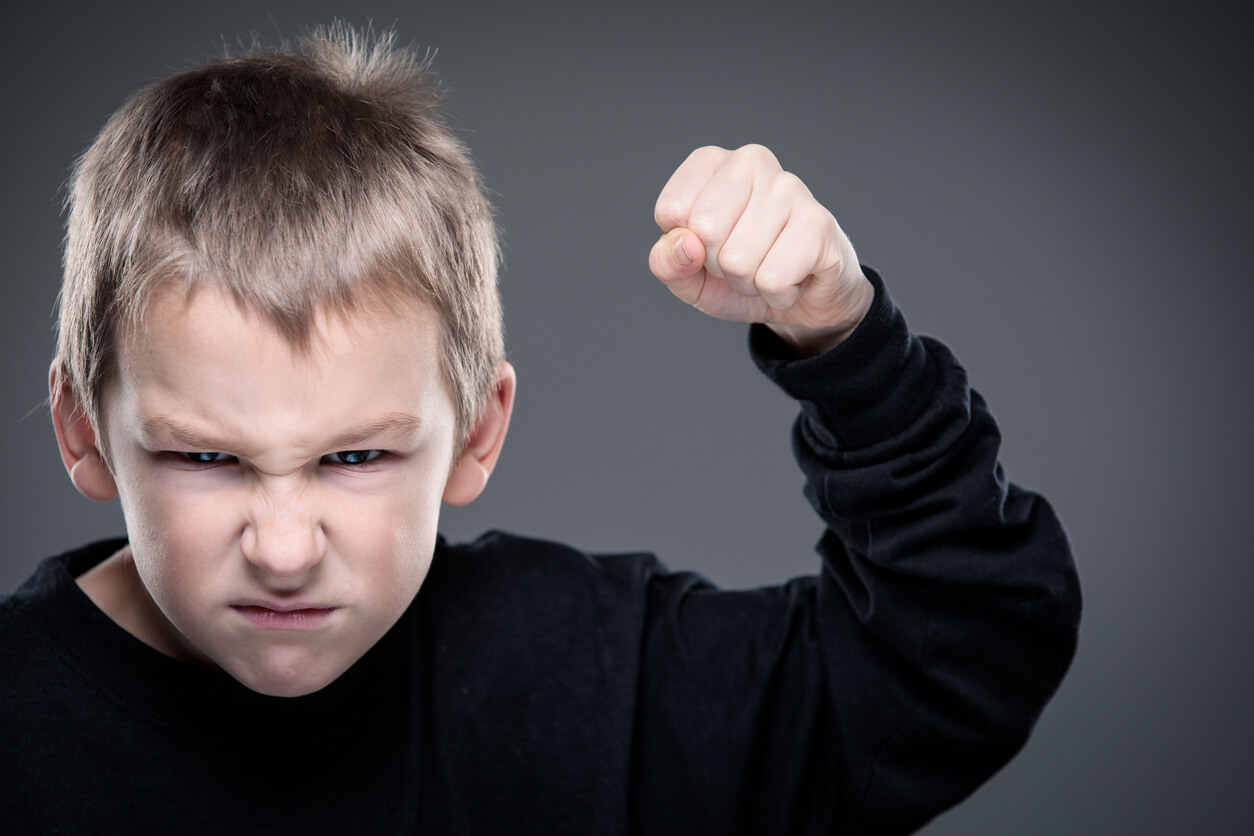 Causas de la agresividad infantil