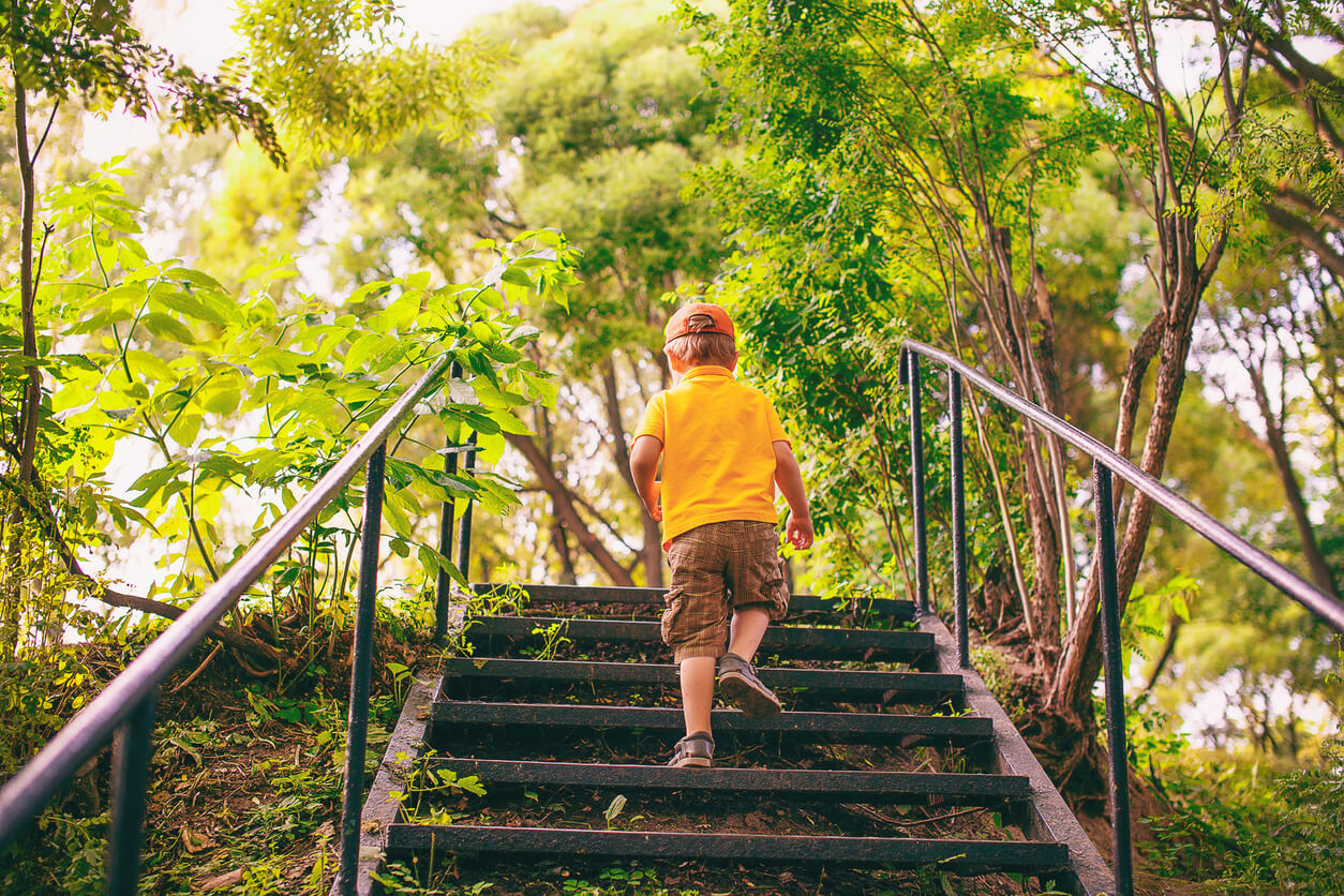 A child climbing a staircase in the woods.