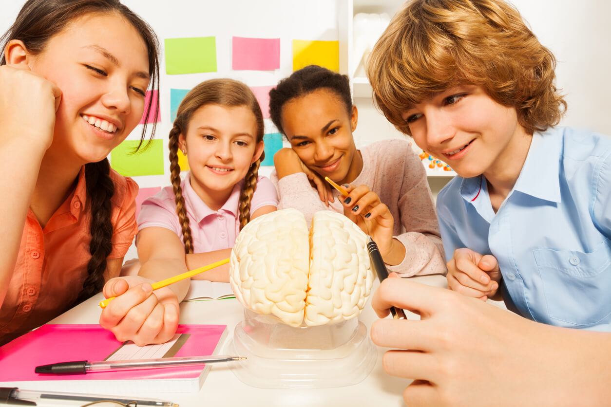 Children studying the brain.