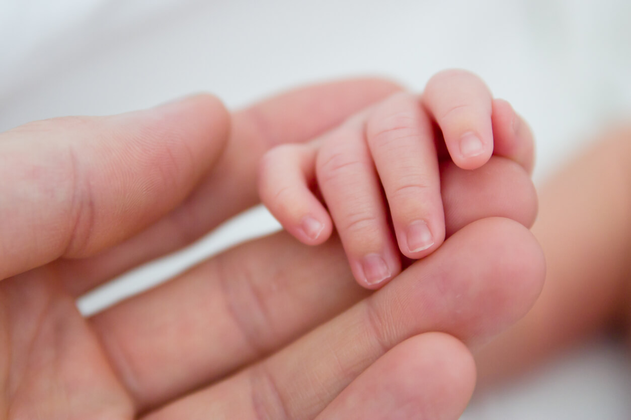 An adult holding newborn baby's hand.
