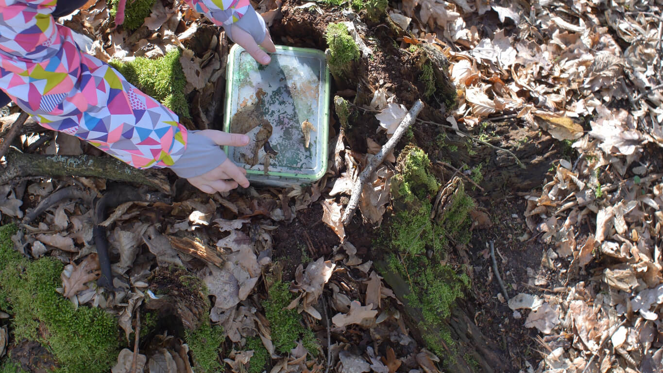 Chasse au trésor.