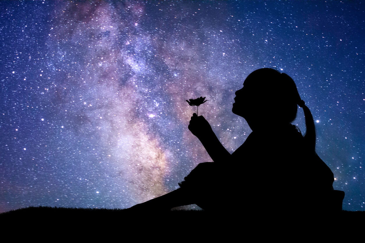 A girl looking at a flower under the night sky.