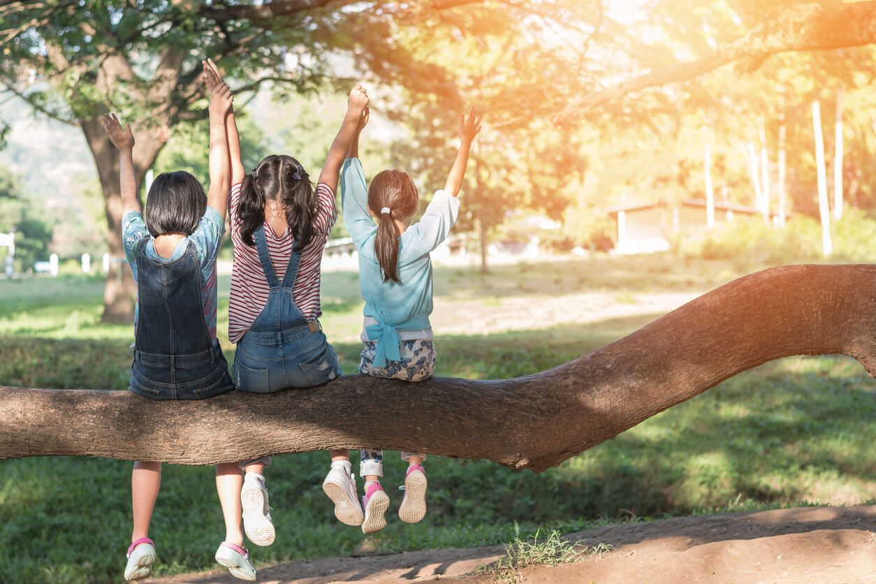 Three girls sitting on a tree branch holding hands.