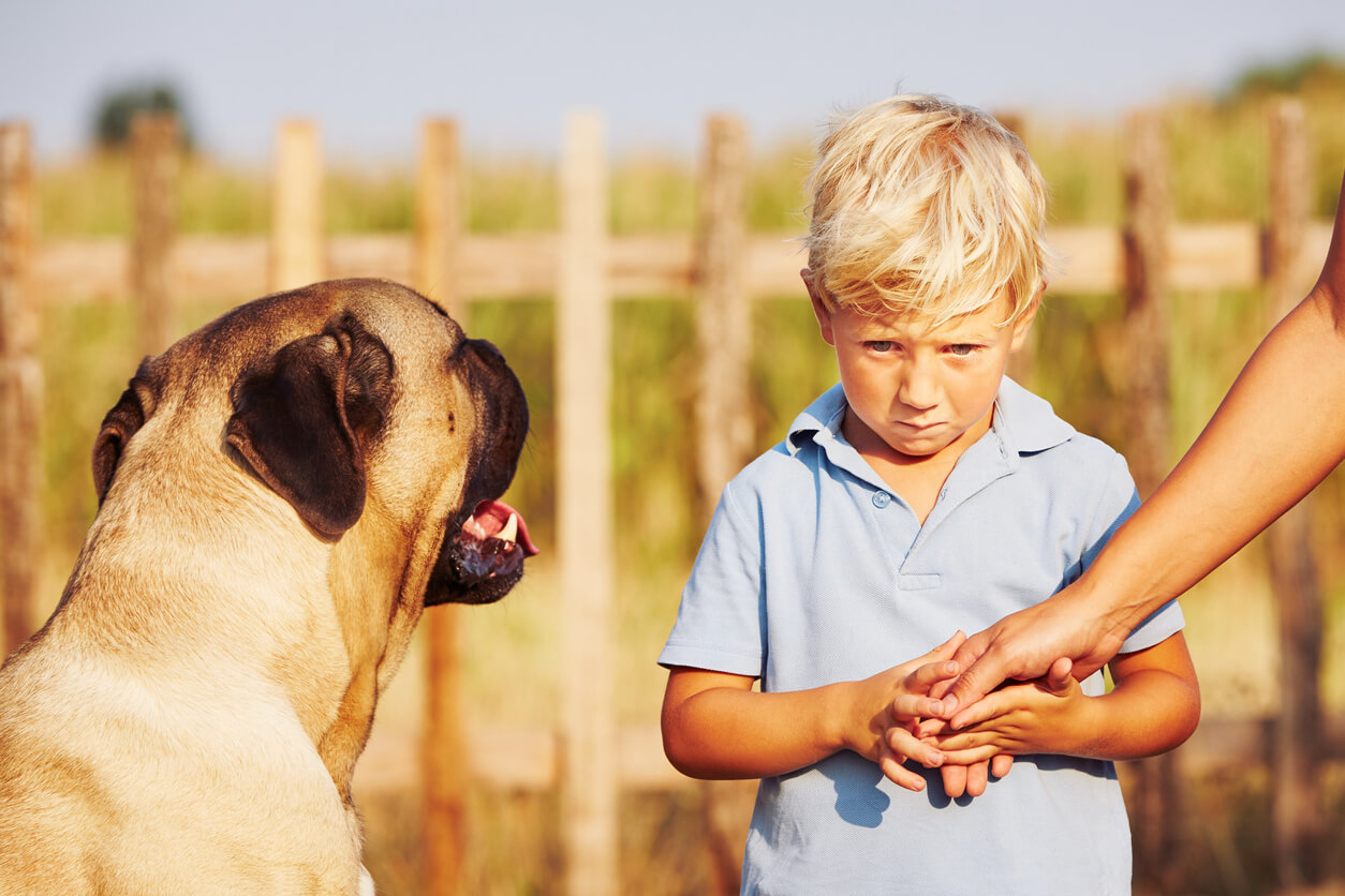 A child who's afraid of dogs.