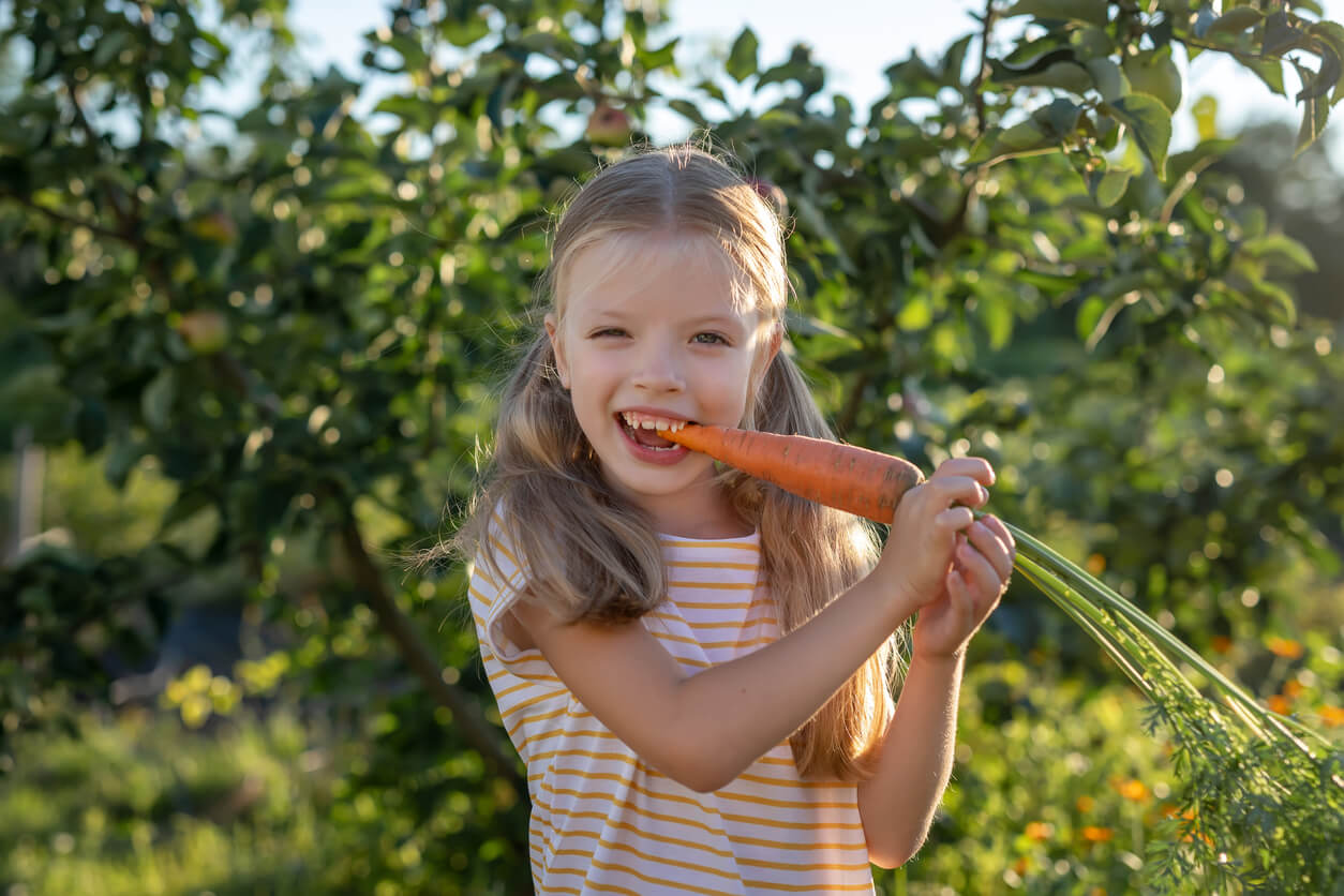 A young girl biting into a freshly picked carrot.