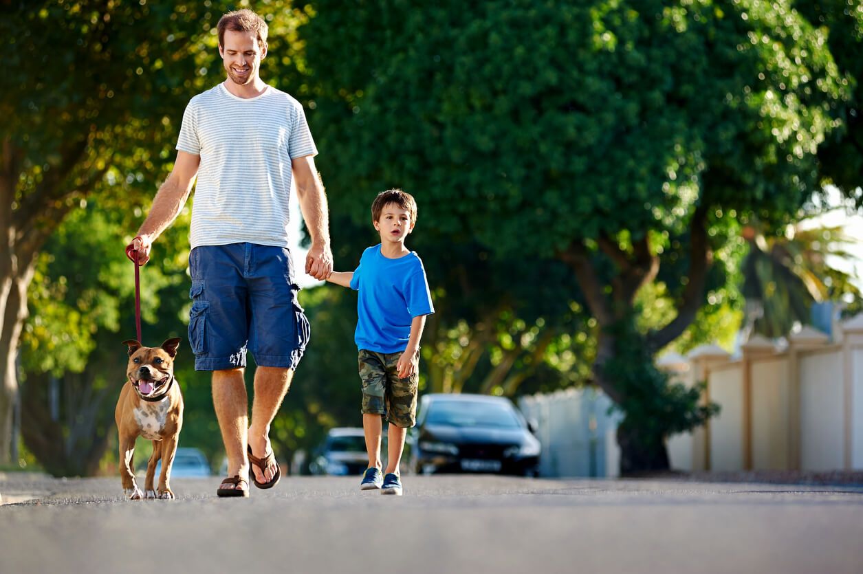 A father and son walking a dog.