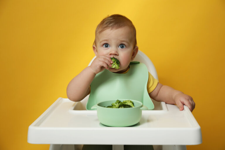8 mitos de la alimentación complementaria