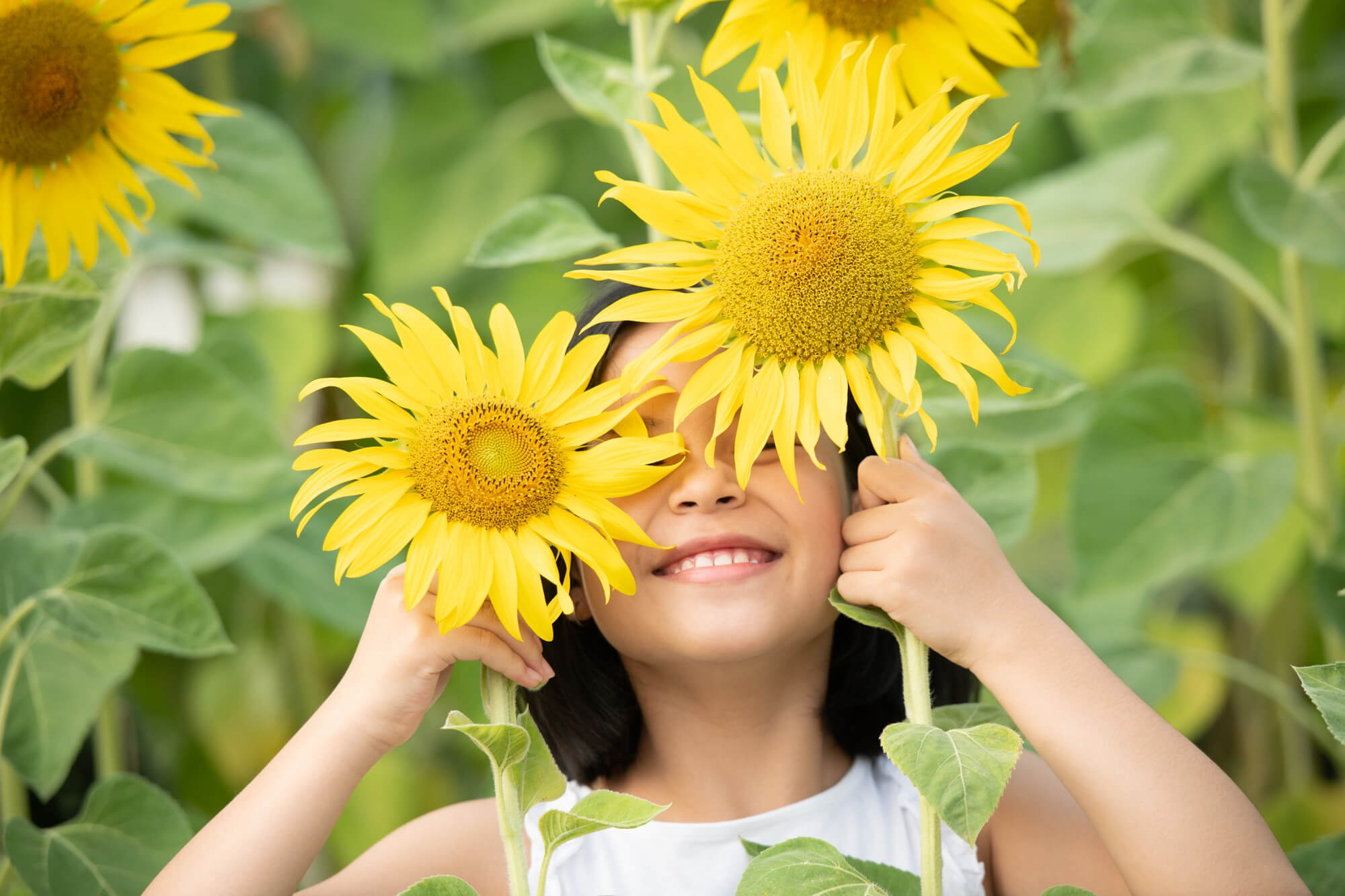 Cultivar el amor por la naturaleza en los niños