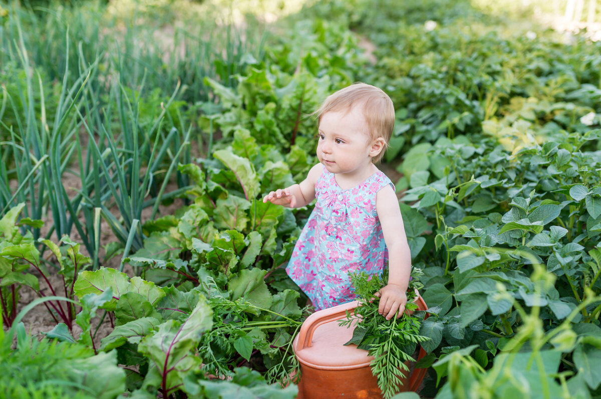 ¿Son seguras las verduras de hoja verde para los bebés?