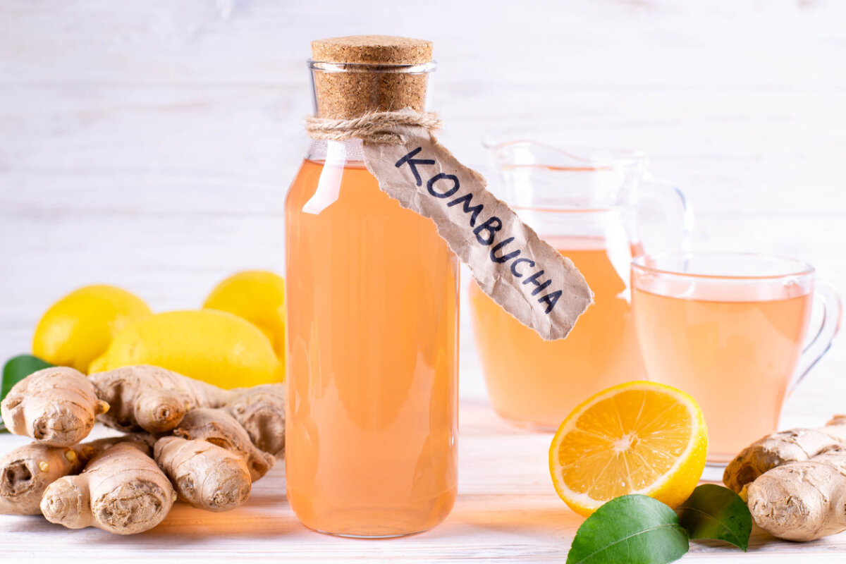 Kombucha: ¿los niños pueden beber este té?