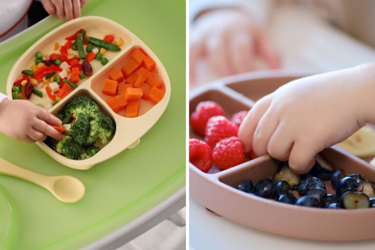 ¿Qué diferencias existen entre los métodos BLISS y BLW?