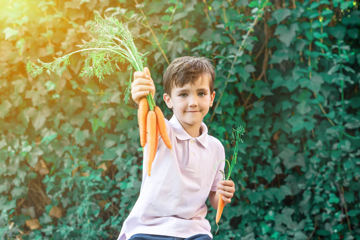 Descubre 7 beneficios de la zanahoria para niños