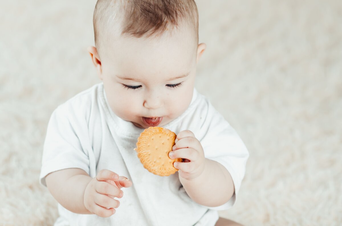 Recetas de galletas para bebés