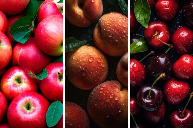 Alergia a las frutas rosáceas, un problema común en niños