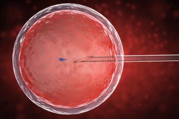 Maternidad asistida: fecundación in vitro y los mitos más comunes